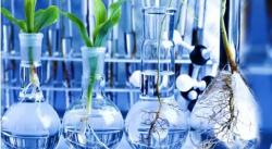 wiosna biologia